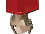 Công tắc dòng chảy DN200 TYCO VSR tại Thuận An