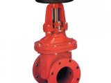 Van cổng ty nổi DN250 TYCO tại Thuận An